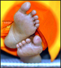 lotus-feet-sboi-wallpaper-sathya-sai-baba