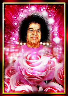 sri-sathya-sai-baba-rose