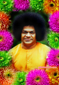 sri-sathya-sai-baba-blossoms-flowers-wallpaper-sboi