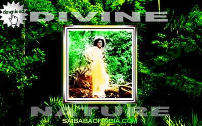 DIVINE-NATURE-SATHYA-SAI-BABA-WALLPAPER.jpg