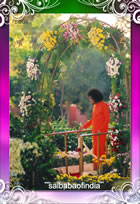 WHITEFIELD-GARDENS-SRI-SATHYA-SAI-BABA