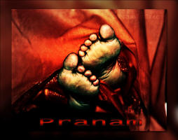 divine-lotus-feet-sri-sathya-sai-baba-pranam