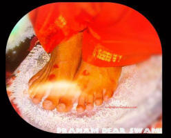 Lotus feet sri sathya sai baba