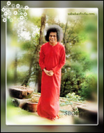 sri-sathya-sai-baba-nature-woodland-image