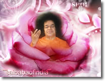 sri-sathya-sai-baba-suman-rose