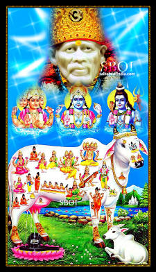 holy-cow-indian-gods-shirdi-sai-baba