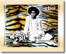 SATHYA-SAI-BABA-TIGER-SKIN-GADHI-SEAT-OF-SHIVA