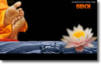 " Sai lotus feet "