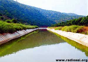 Sai Chennai Yajna