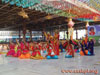 Holi Celebrations in Prasanthi Nilayam