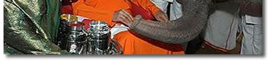 Sai Darshan - www.saibabaofindia.com