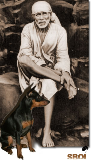 Shirdi Sai Baba & black dog sent by HIM