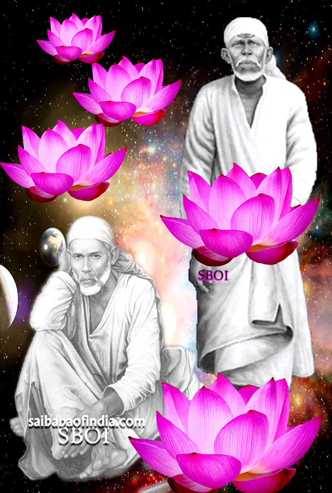 sai-baba-lotus-flowers