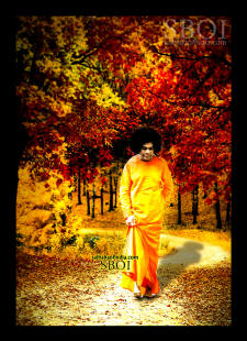 walking in the forest sri sathya sai baba