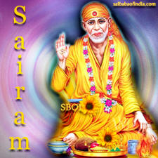 shraddha-ke-phool-sai-baba-sairam-flower