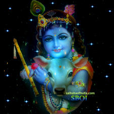 sri-krishna-gopala--calf-cow-flute-sky-stars